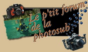 Le p’tit forum de la photosub