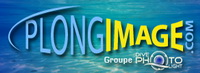 PlongImage