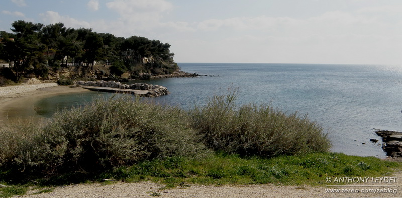 Cap Rousset reserve carry cap rousset Randonnée palmée dans la réserve marine de Carry