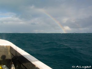 Somewhere over the rainbow...