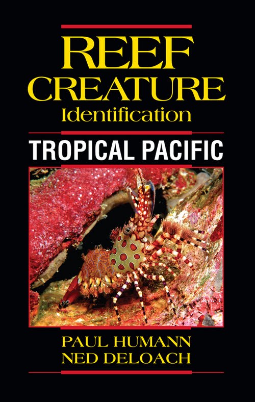 reef-creature-ID-book