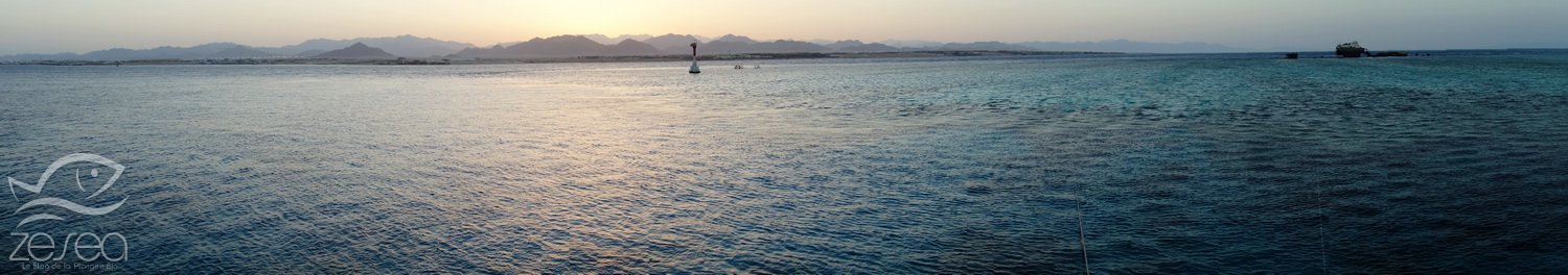 Plongée en Mer Rouge à Tiran
