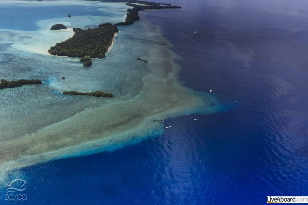Palau Blue corner and Blue hole - World heritage site -