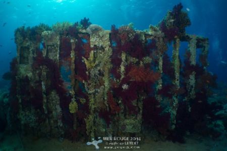 Conteneur du Yolanda Conteneur du Yolanda