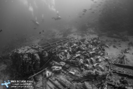 Une envie pressante ? Une envie pressante ?