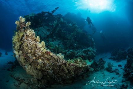 L'épave du Tienstin en Mer Rouge