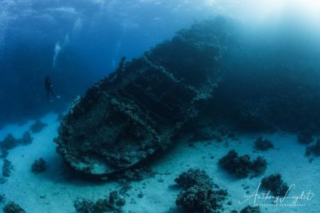 L'épave du Tien Hsing en Mer Rouge