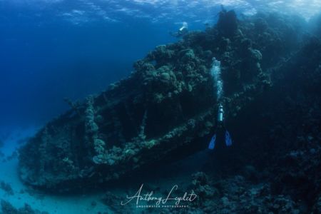 Tien Hsing wreck in Red Sea