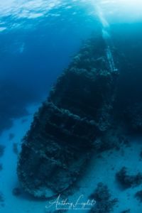 Epave du Tienstin en Mer Rouge