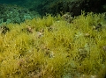 CRW_0103