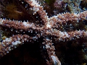 CRW_5885
