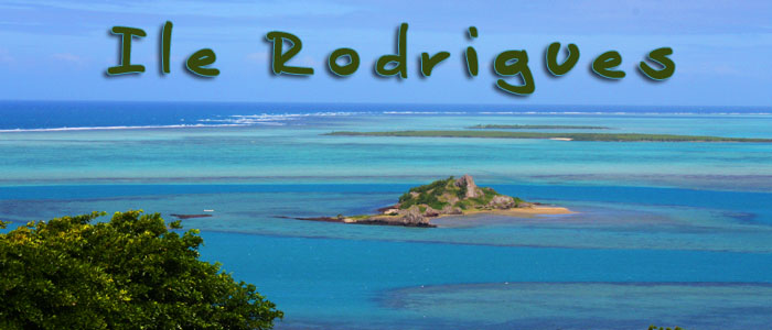 Plongée à l'île Rodrigues