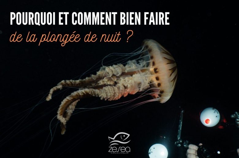 pourquoi-et-comment-bien-faire-de-la-plongee-de-nuit Pourquoi et comment bien faire de la plongée de nuit ?