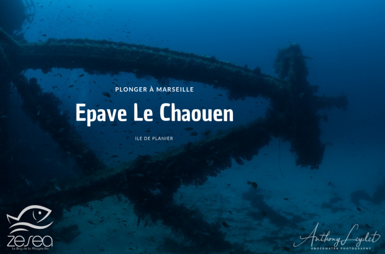 Epave Le Chaouen à Marseille - Chaouen wreck in Marseille