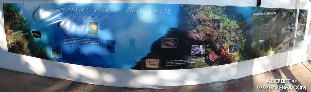 Bâche présentation des écosystèmes de Méditerranée