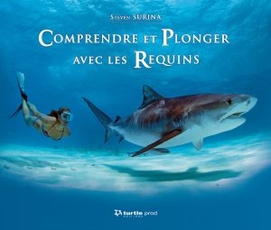 comprendre-plonger-requins-surina