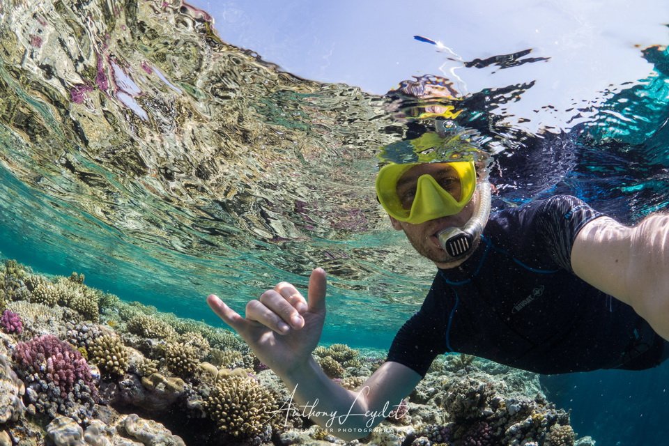 Snorkeling en Mer Rouge