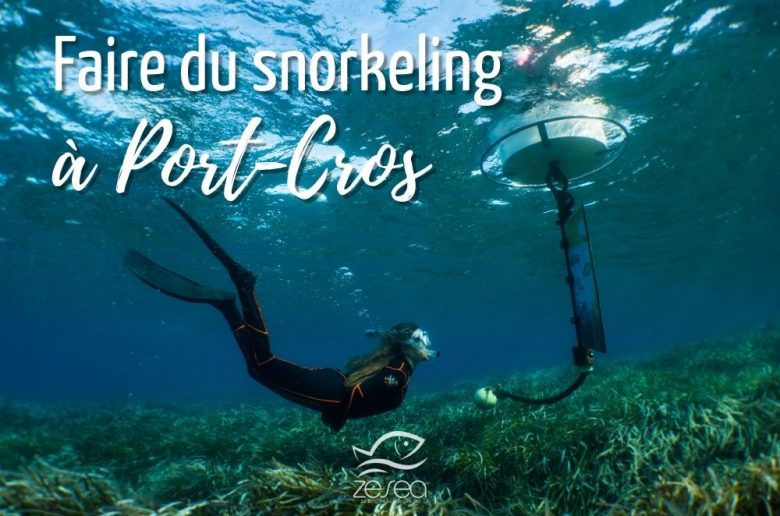 Faire du snorkeling à Port-Cros dans le Parc National