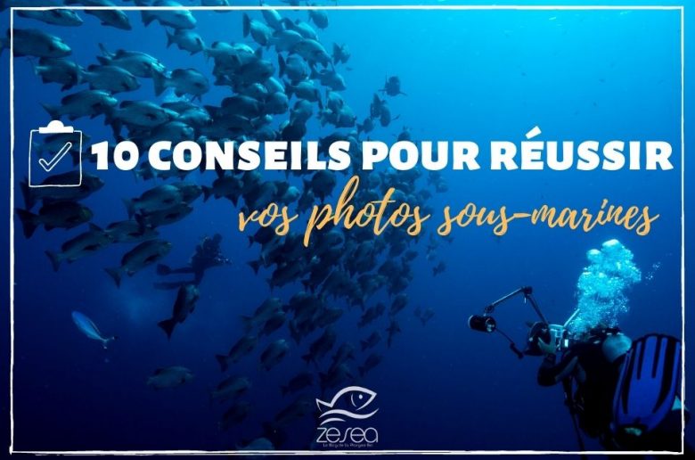 10 astuces pour réussir vos photos sous-marines