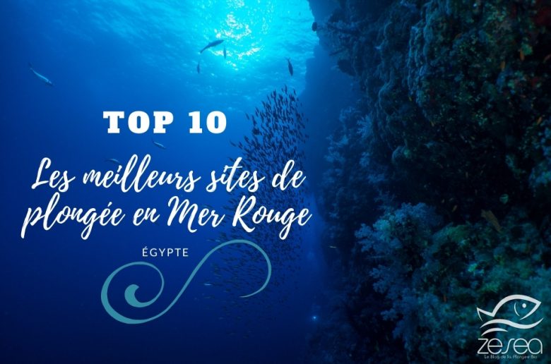 Top 10 des meilleurs sites de plongée en Mer Rouge - Egypte