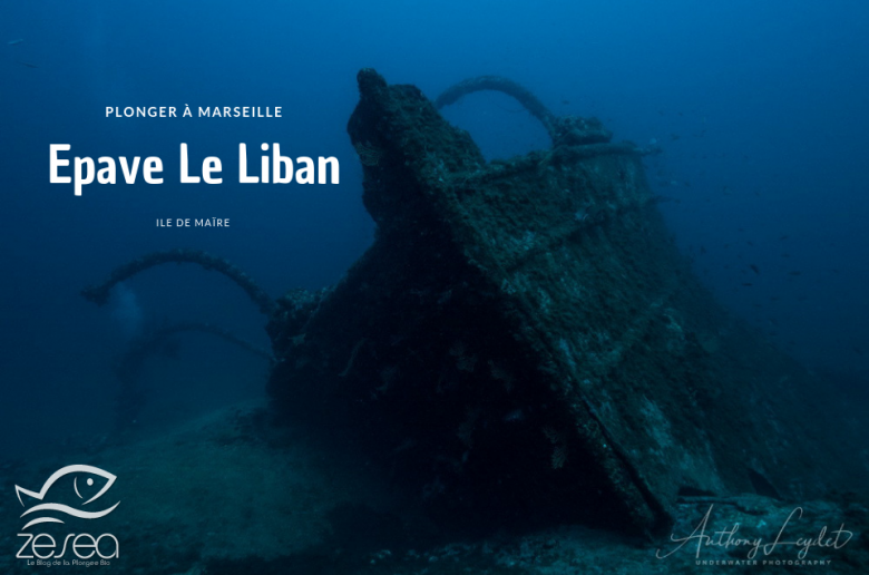 Epave du Liban à marseille