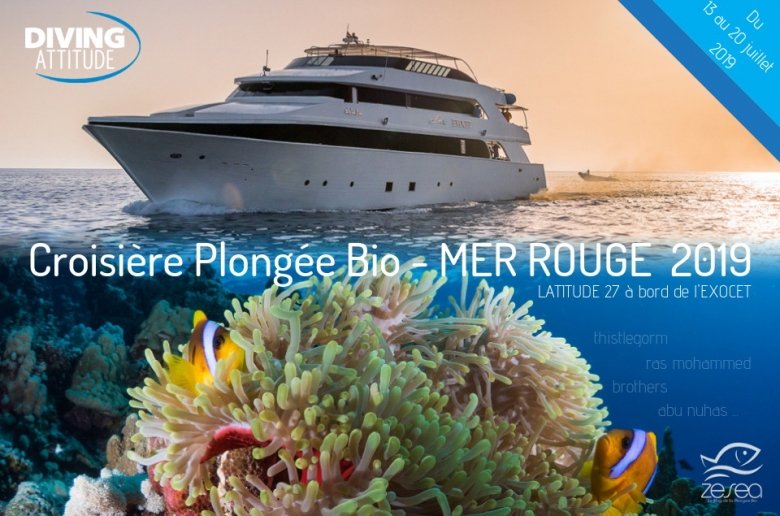 Croisière Plongée Bio en Mer Rouge 2019, le meilleur du Nord