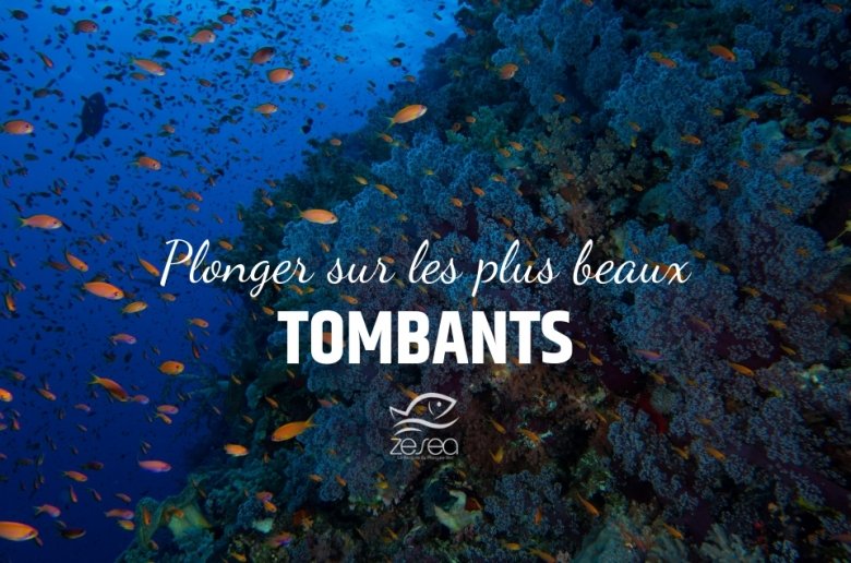 Plonger sur les plus beaux tombants