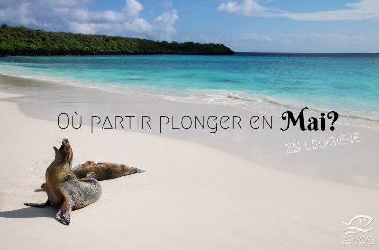 Où partir plonger en mai en croisière ?