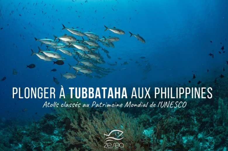 Plonger-a-Tubbataha-aux-Philippines-UNESCO