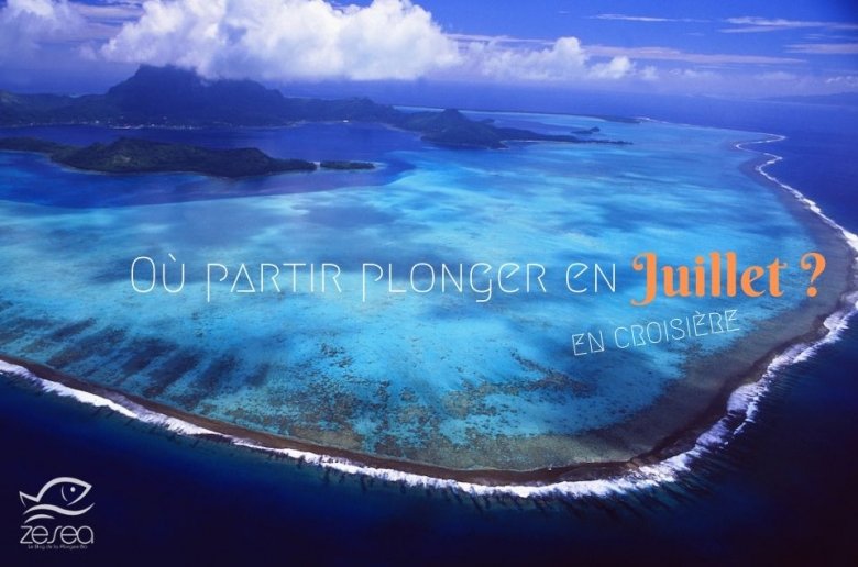 Ou-partir-plonger-en-juillet