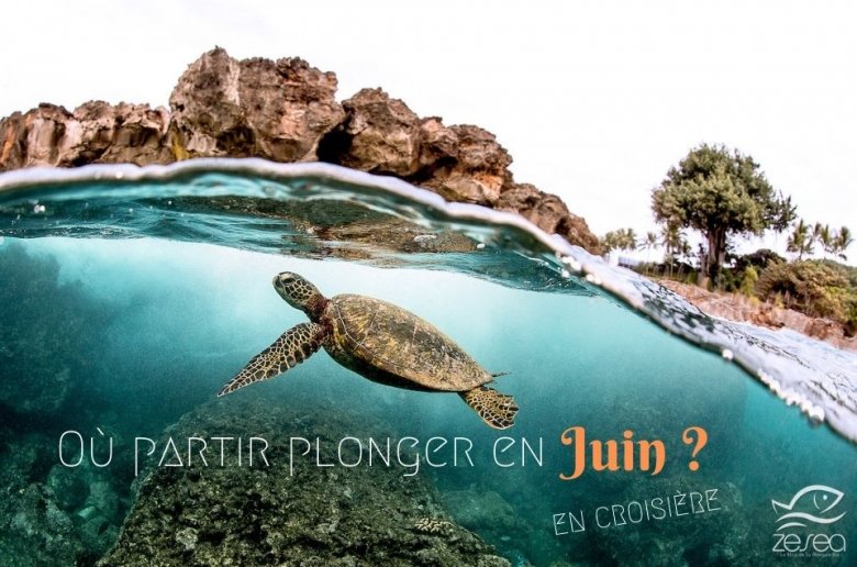Ou-partir-plonger-en-juin O^partir plonger en Juin en croisière ?