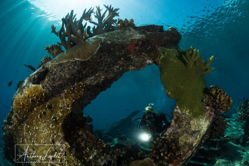 L'épave "Malayan wreck" à Tubbataha