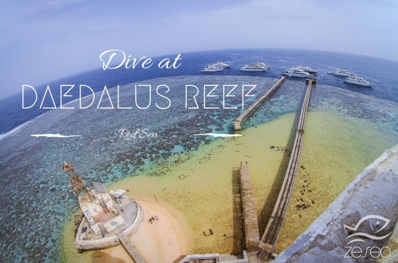 Dive-at-daedalus-reef-red-sea