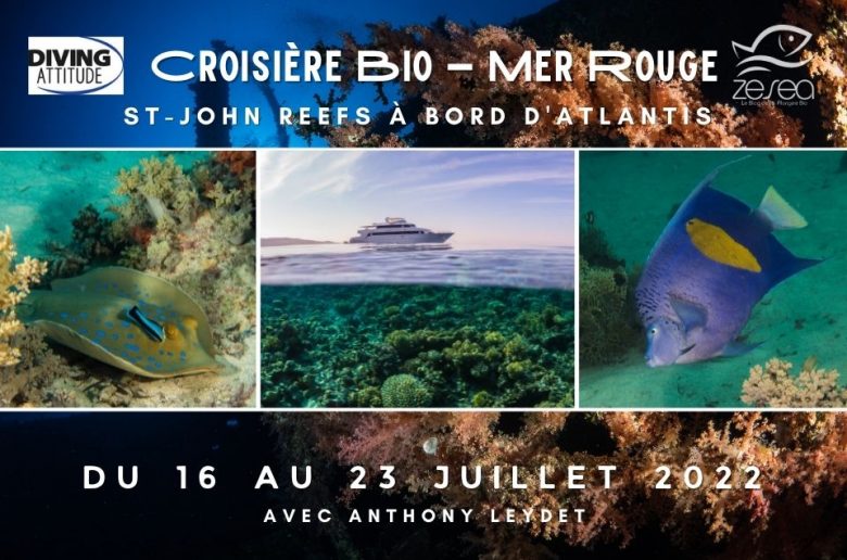 Croisière Bio 2022