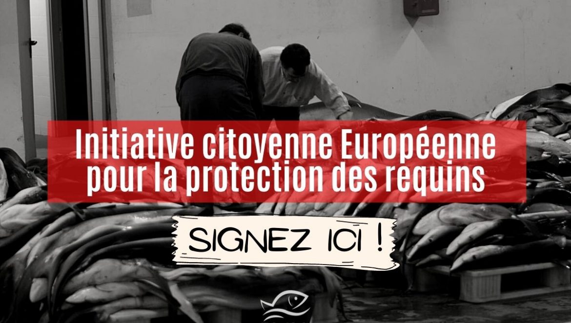 Initiative citoyenne européenne pour la protection des requins