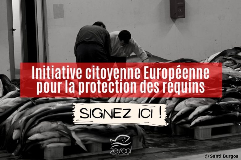Initiative citoyenne européenne pour la protection des requins