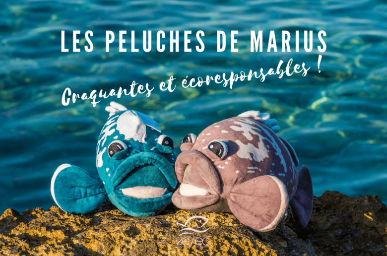 peluches de mérou - les peluches de Marius
