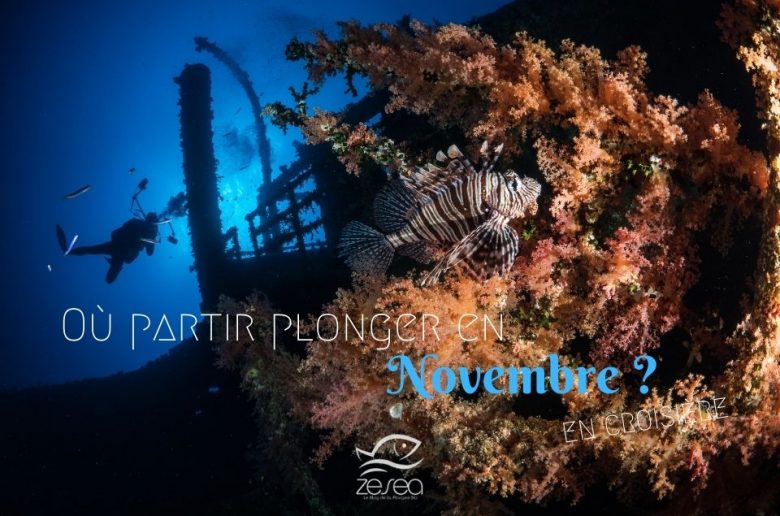 Où partir plonger en novembre en croisière ?