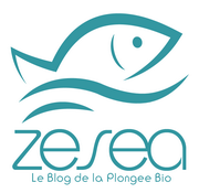 Le Blog de la Plongée Bio