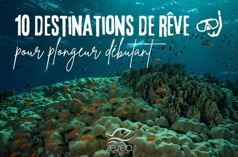 10 destinations de plongée de rêve pour plongeur débutant