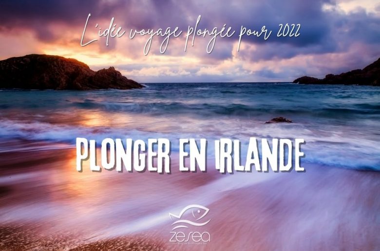 plonger en Irlande
