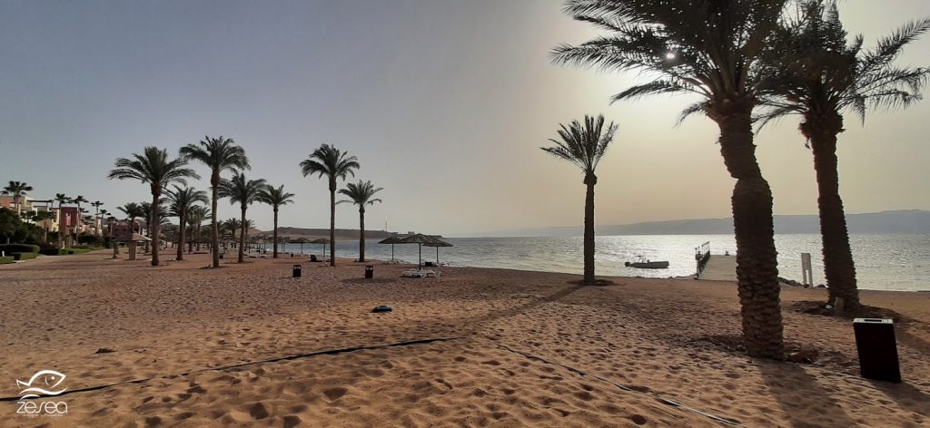 Tala Bay à Aqaba en Jordanie