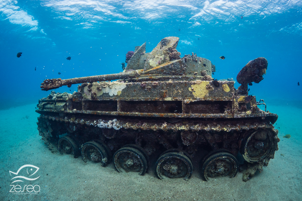 Plonger à Aqaba sur le tank M42