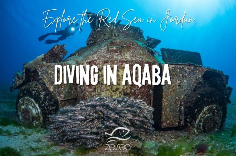 Diving in Aqaba
