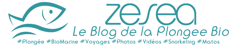 Le Blog de la Plongée Bio