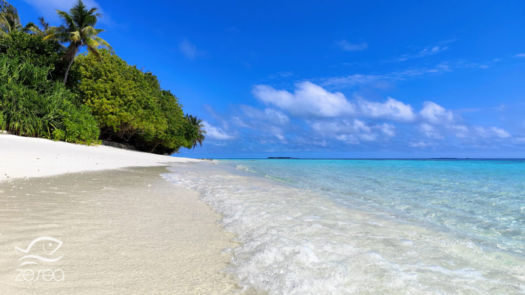 Une des plage de sable blanc entourant la petite île de Dhuni Kolhu