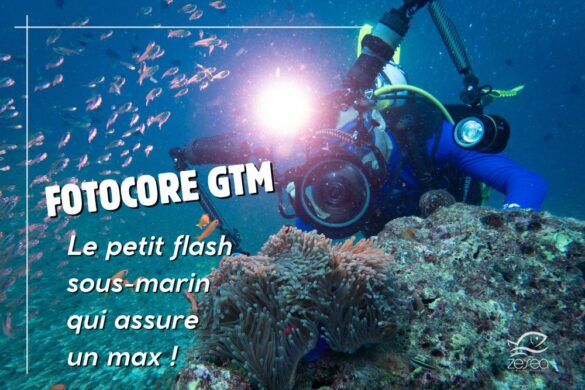 Flash FOTOCORE GTM