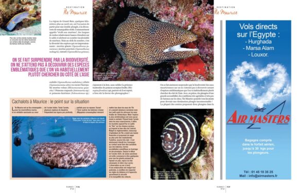 PLONGEZ60-MAURICE-04-small