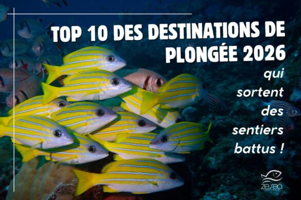 destinations plongée 2026 hors des sentiers battues