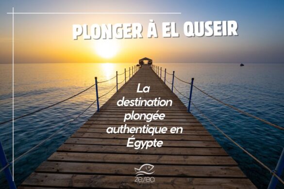 plonger-el-quseir-destination-plongee-authentique-egypte Plonger à El Quseir : la destination plongée authentique en Egypte